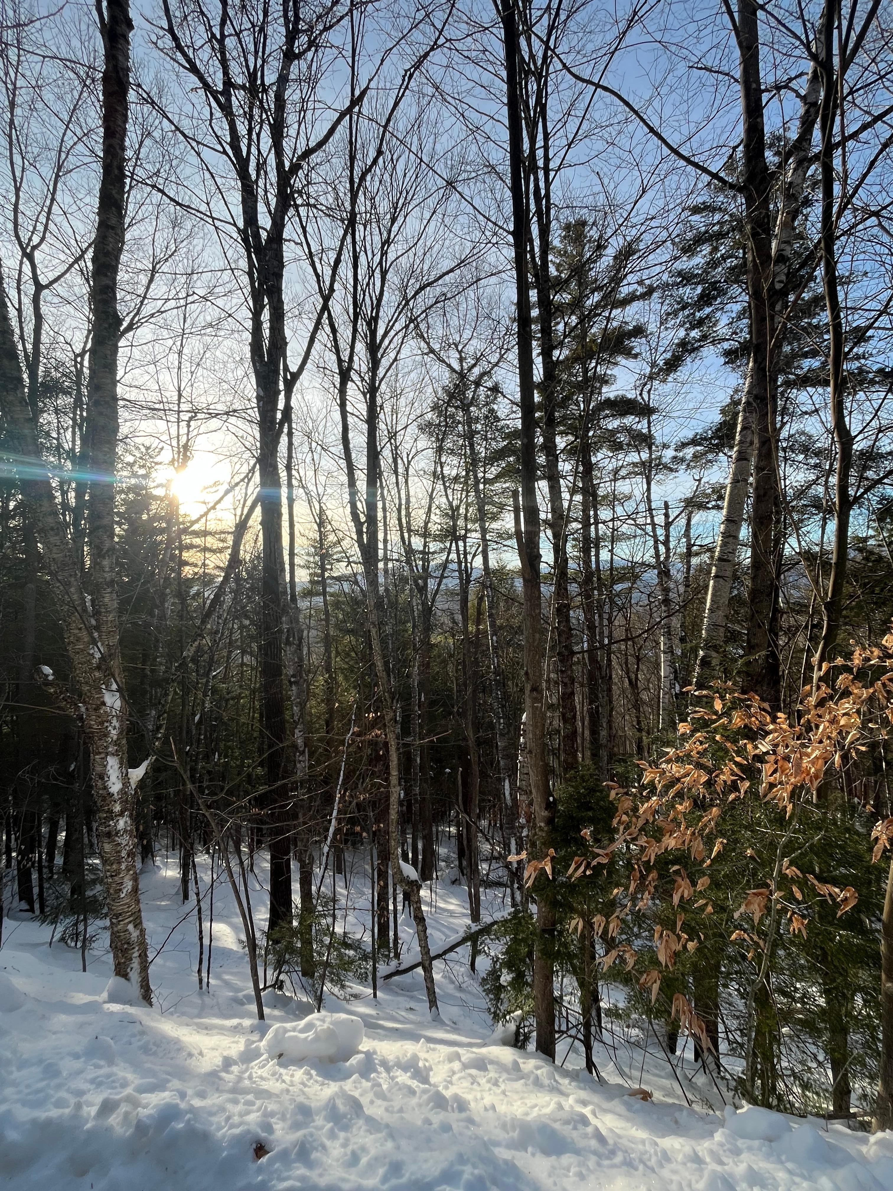 Walk I. The neighborhood 