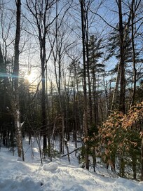 Walk I. The neighborhood