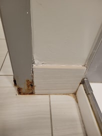 Rusty in the bathroom