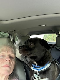 Buddy had a great time!