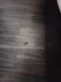 On the floor