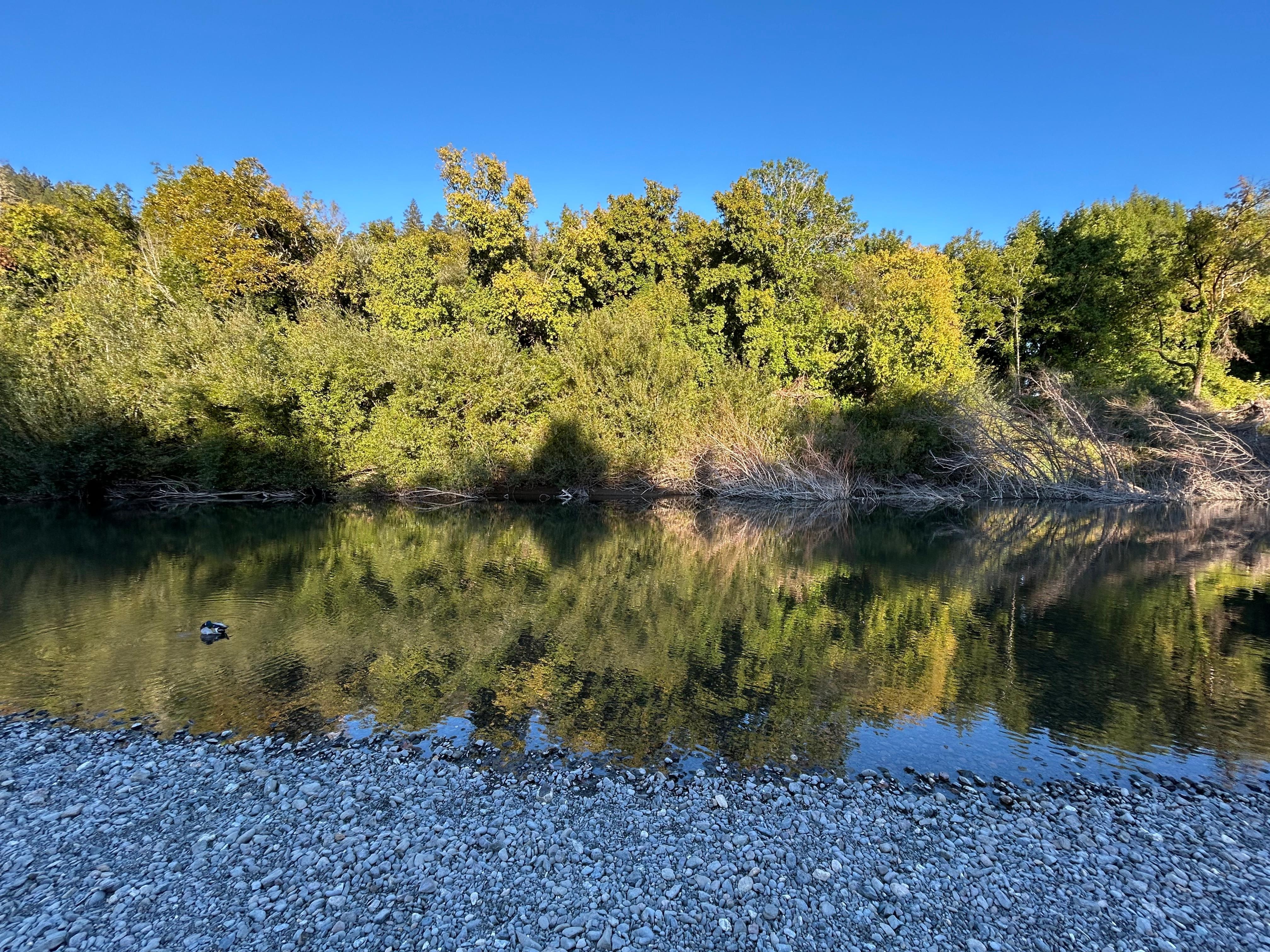 Great spot on the river for locals only. Hardly anyone around. 