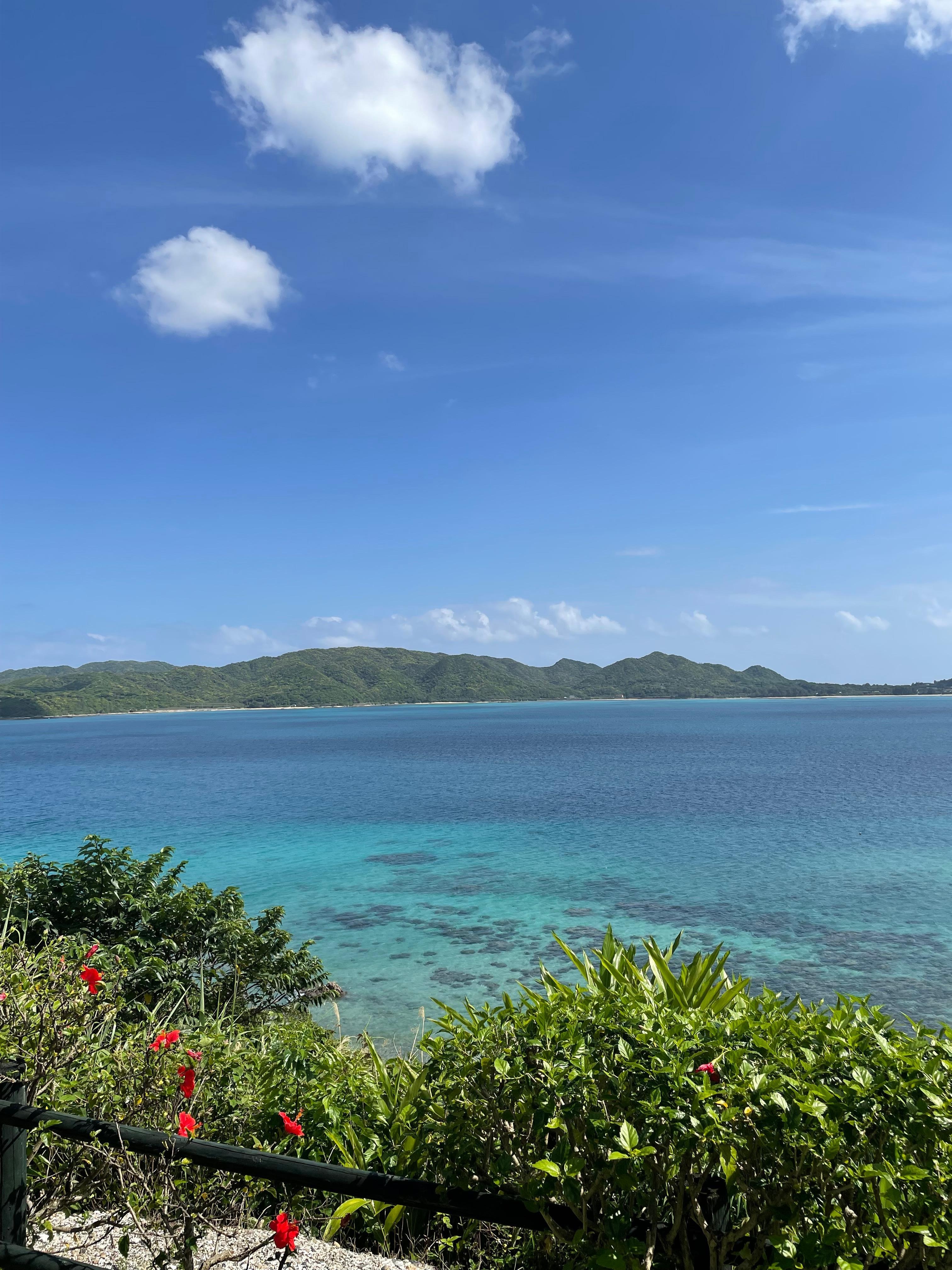 お部屋から見える景色