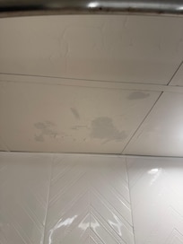 The mold on the bathroom