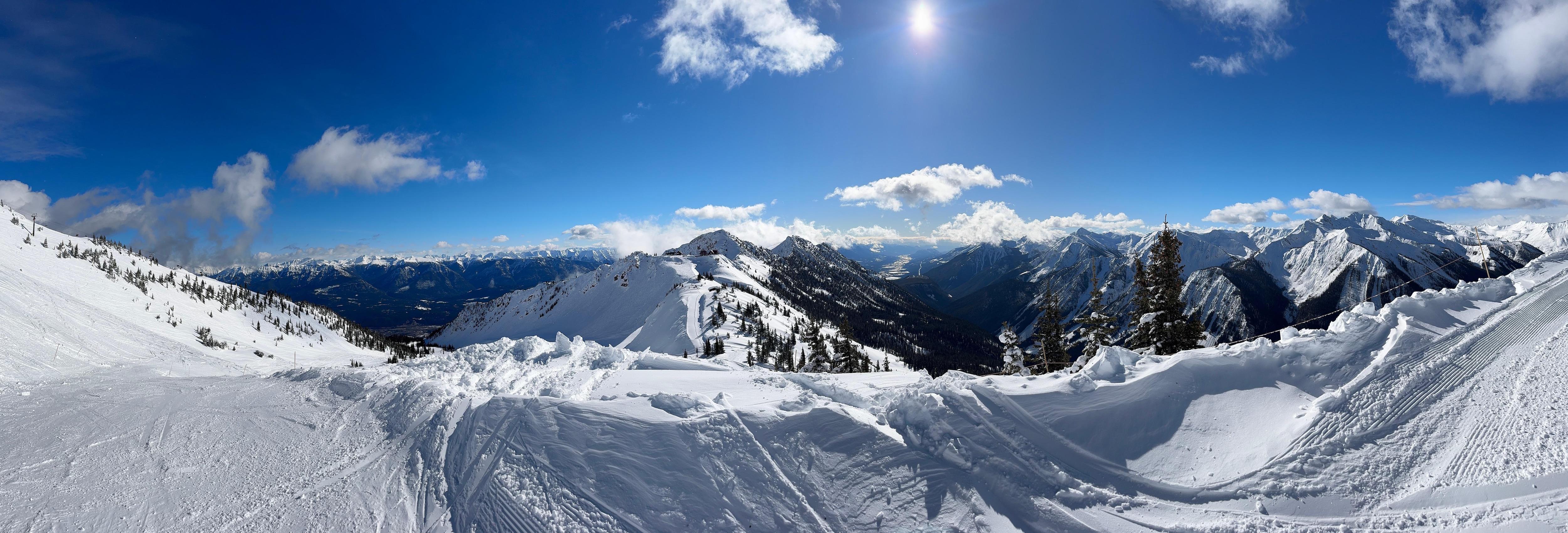 Goodbye Revvie- your were amazing. 