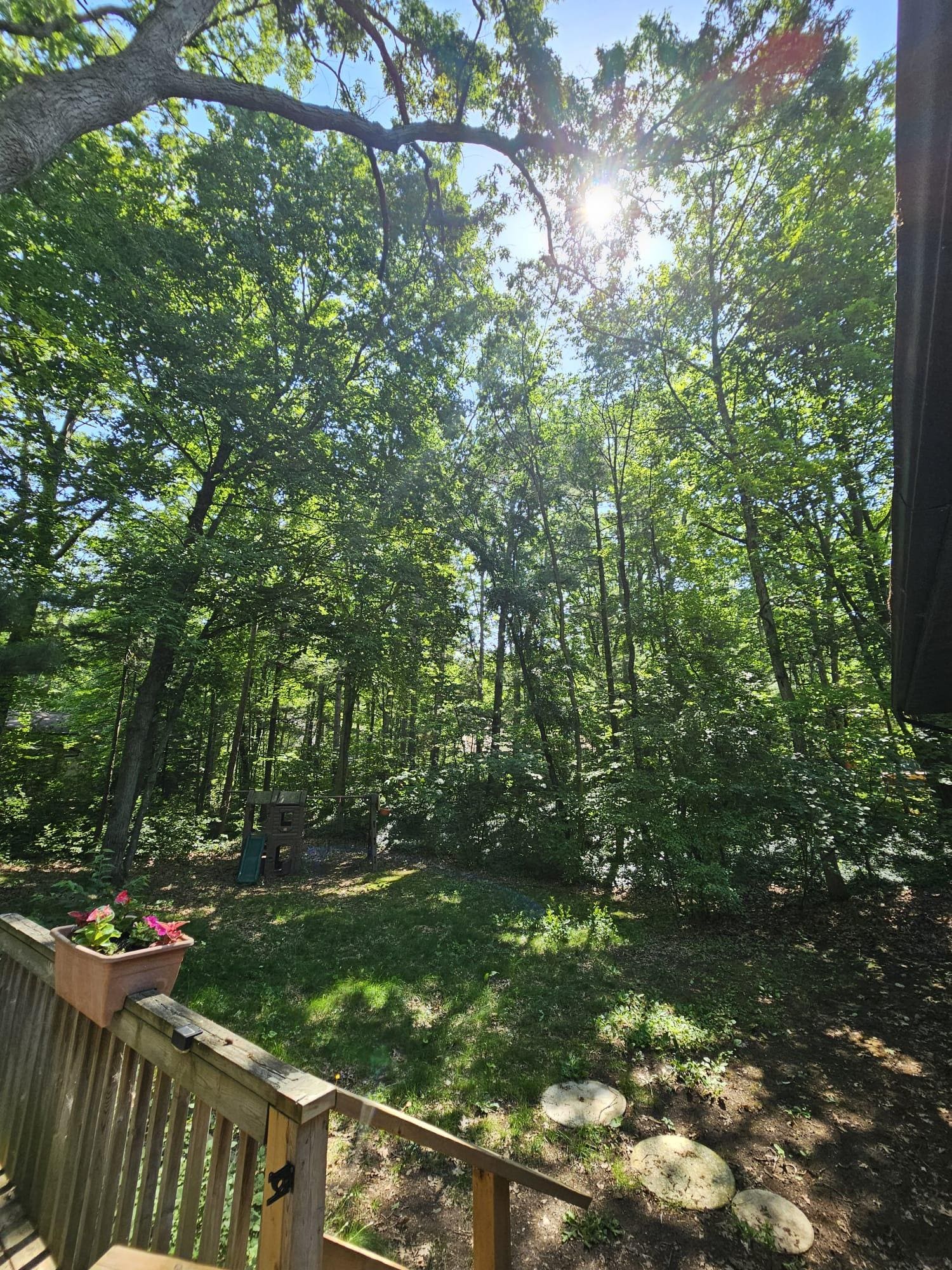 Backyard on a beautiful day