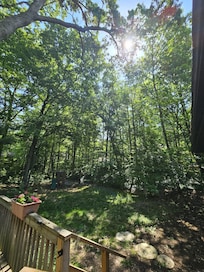 Backyard on a beautiful day