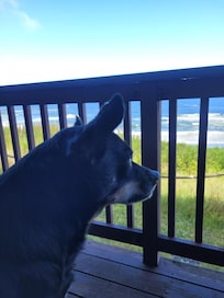 You can't get a better view !!!