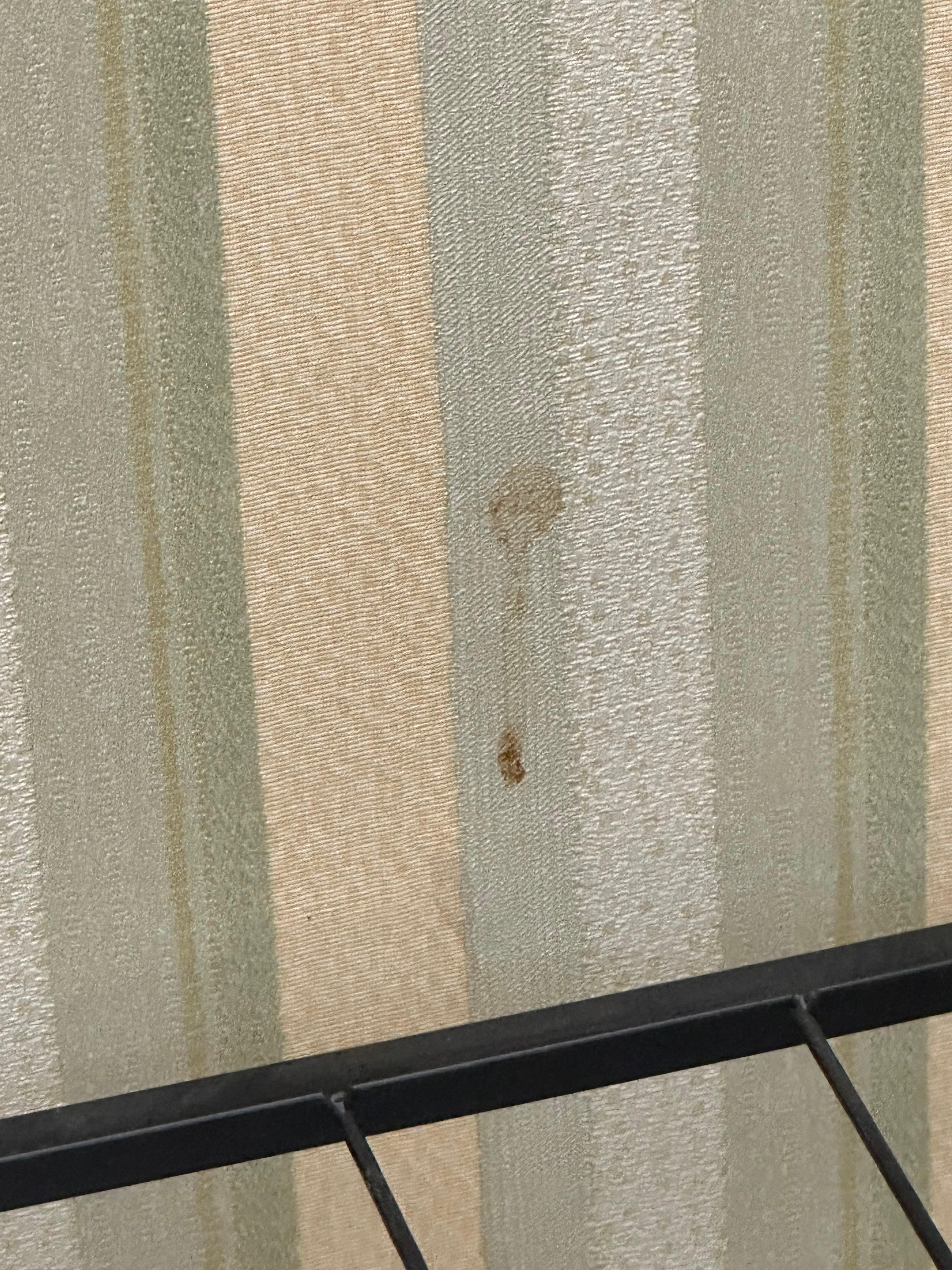 Skittent og flekkete