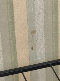 Skittent og flekkete