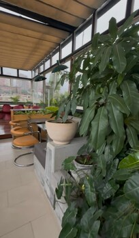 Paid attention to greenery which I loved