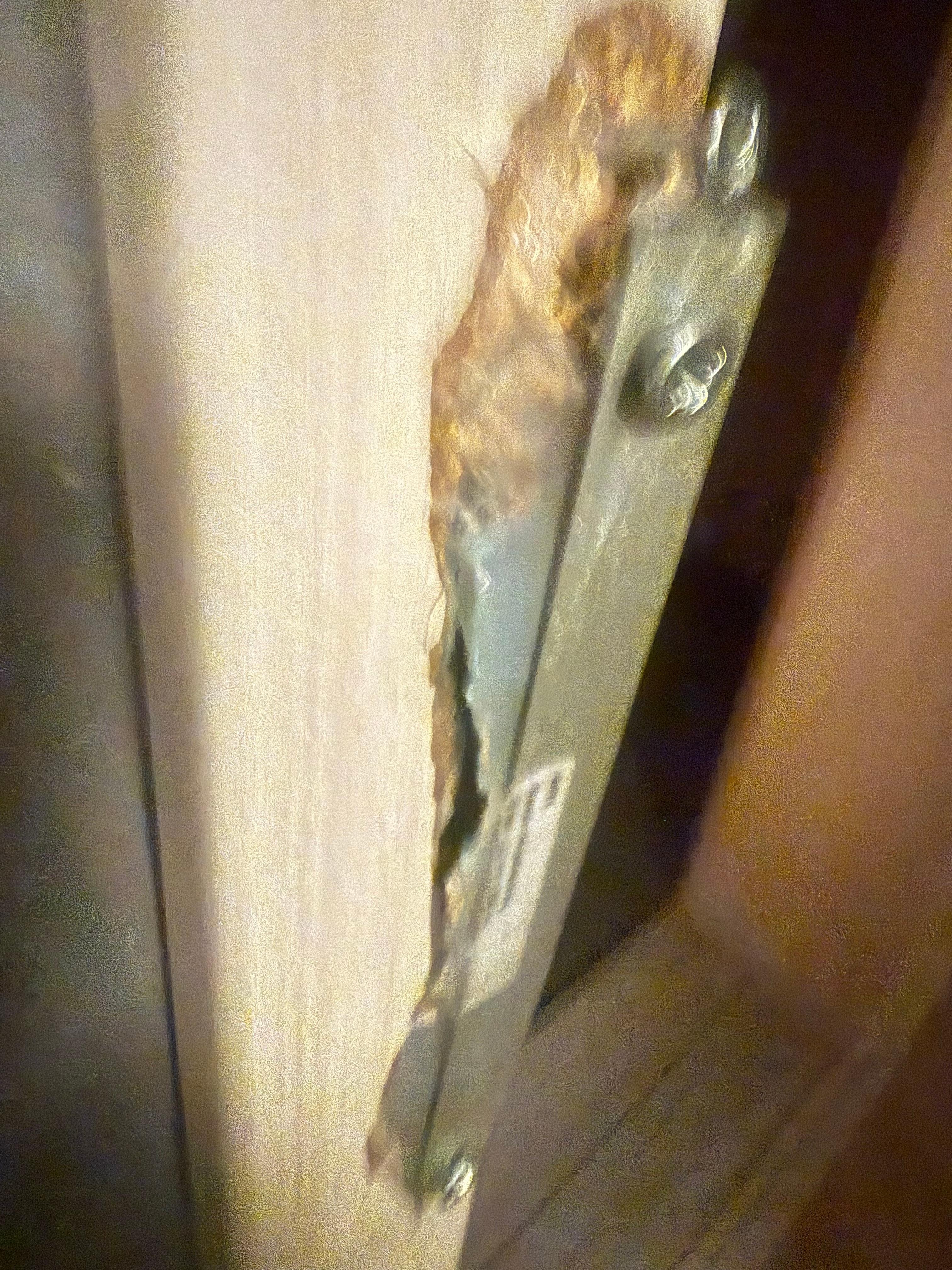 Lock to room entrance door