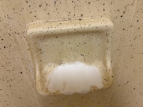 Soap holder