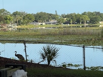 View of the lake