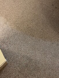 Carpet lots of stains