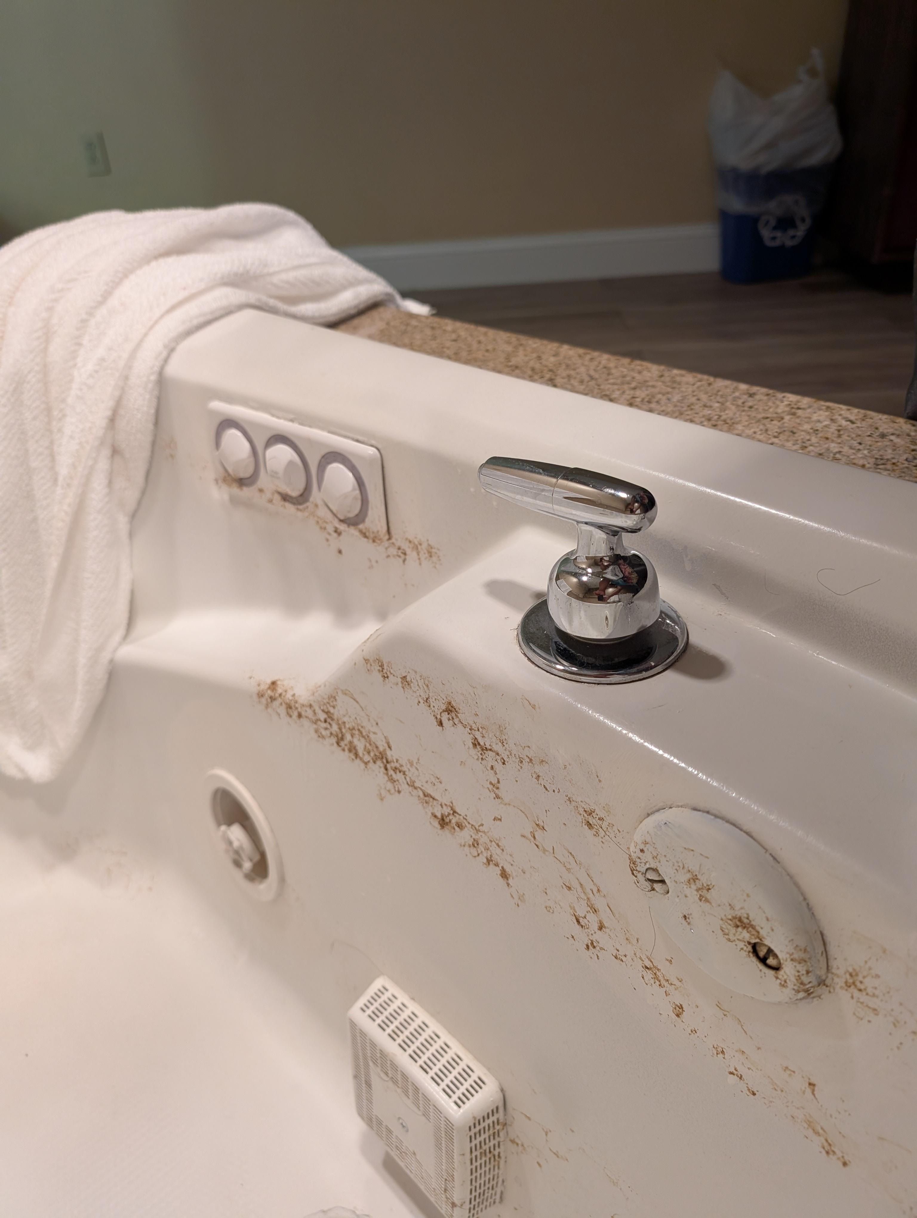 Black mold and Scum