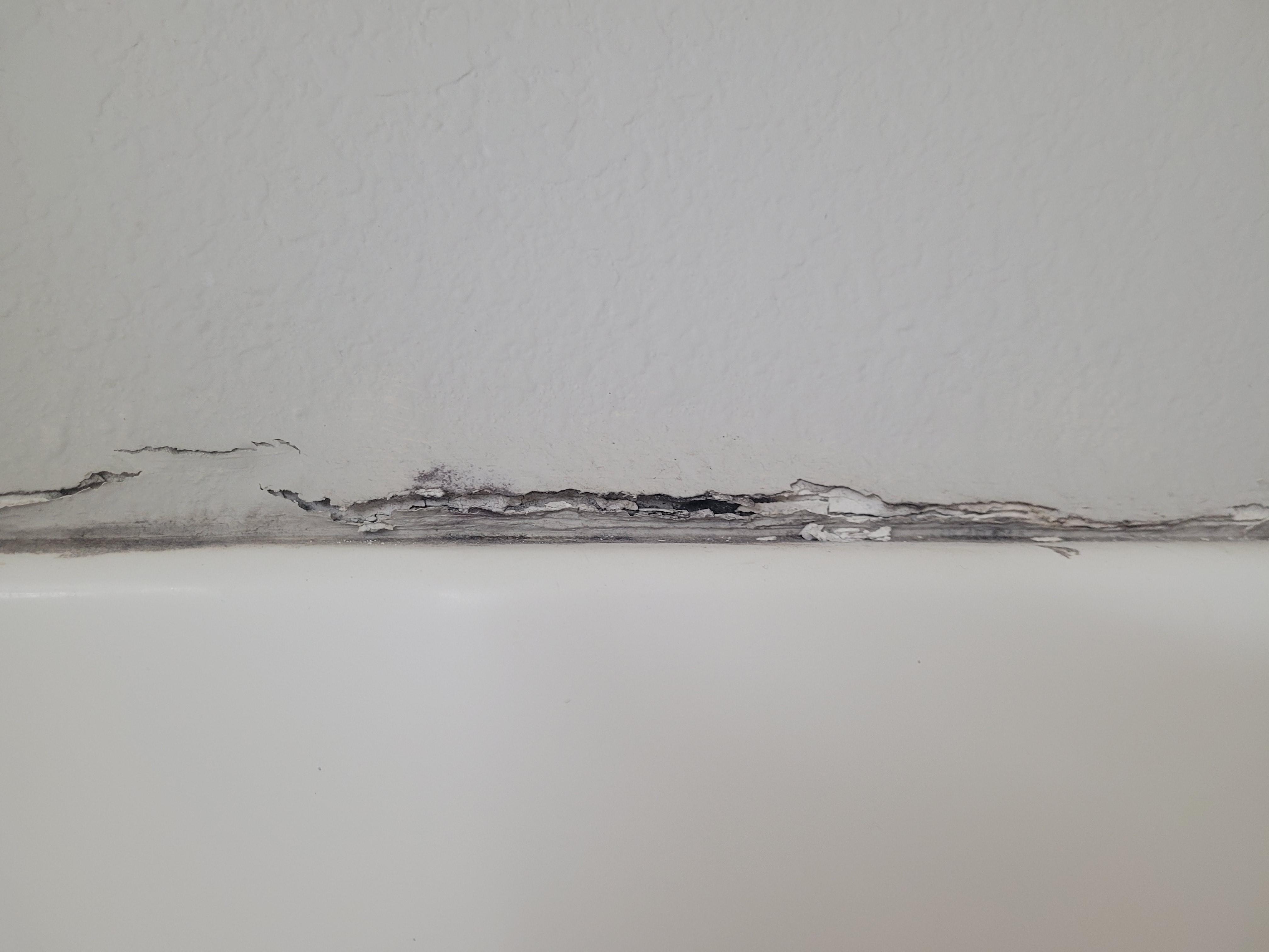 Seal around shower stall.