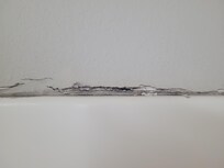 Seal around shower stall.