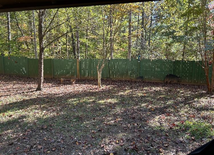 Fenced in yard for the pups 