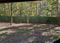 Fenced in yard for the pups