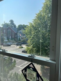 View from front of house sun room