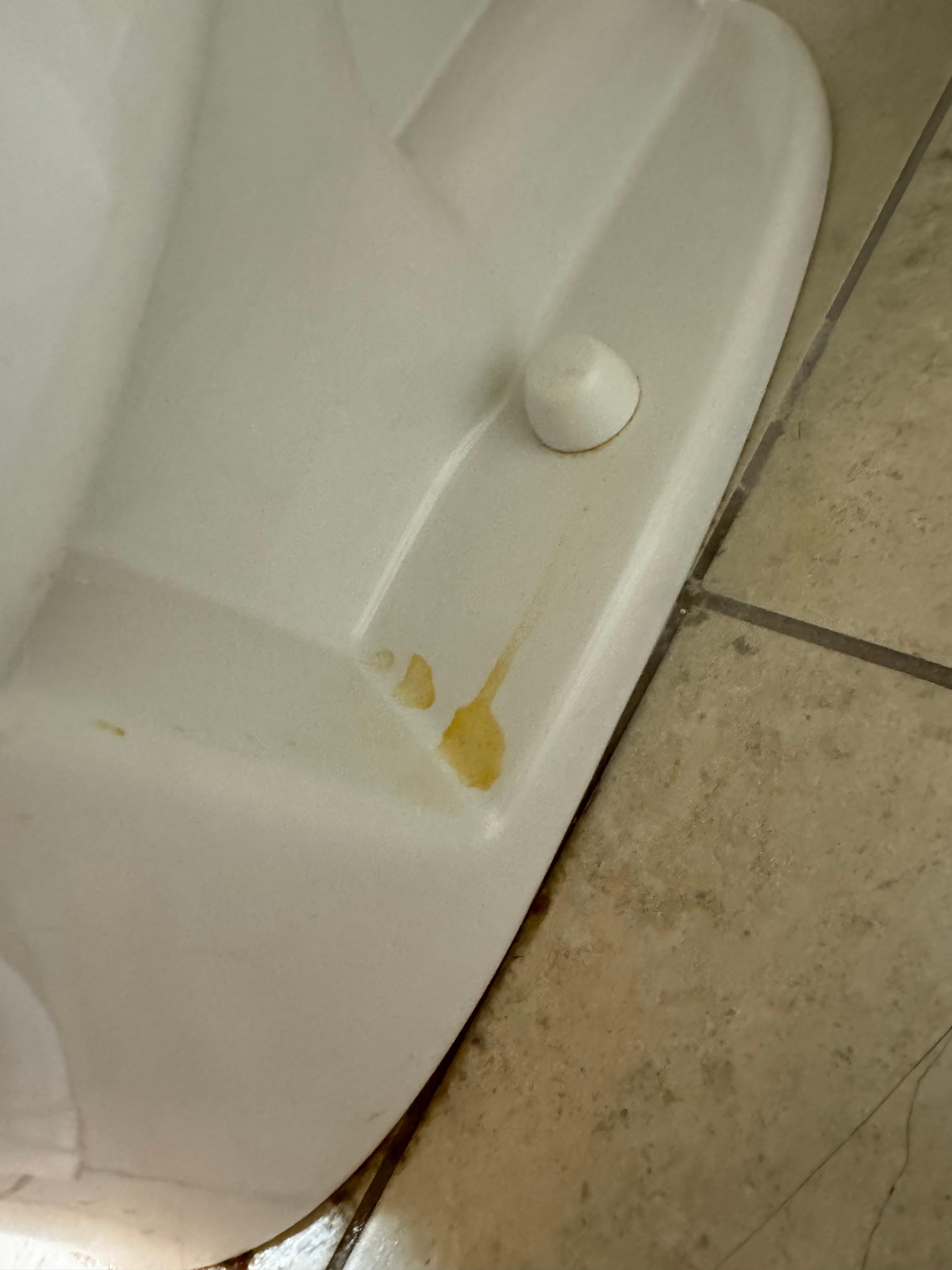 Dried up pee stains .