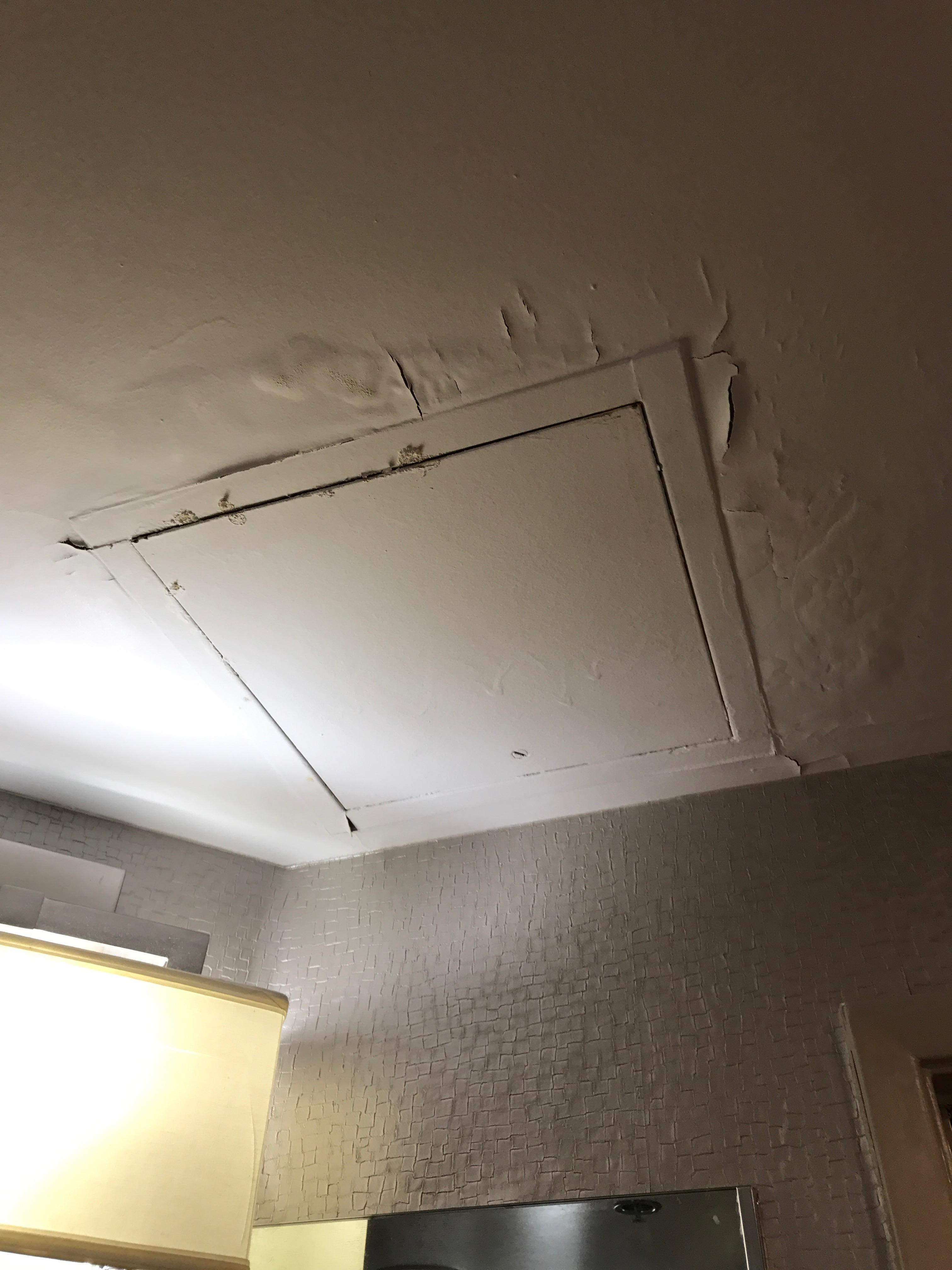 Peeling Bathroom Ceiling