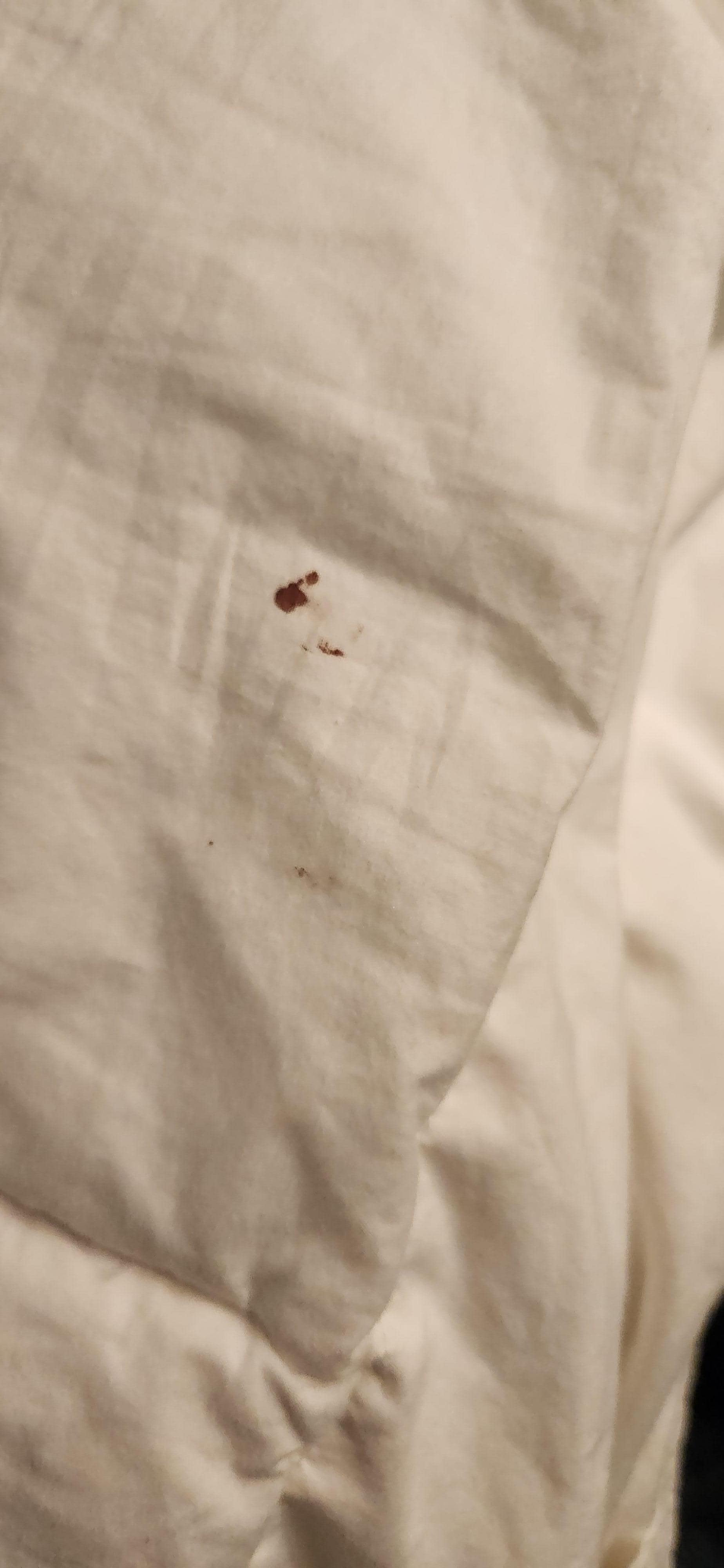 Blood on comforter 