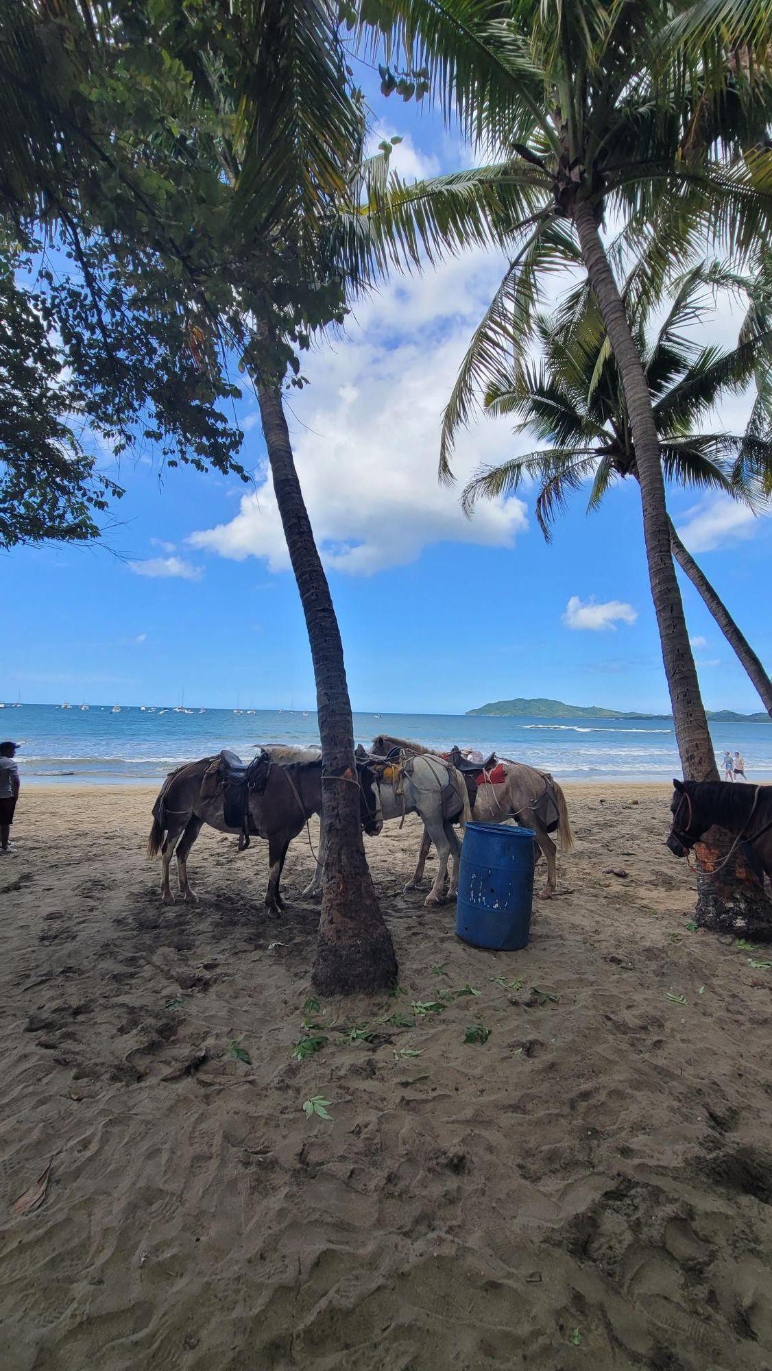 Beachfront in Tamarindo