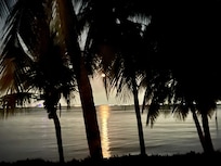 Moonlight outside casitaâs patio.