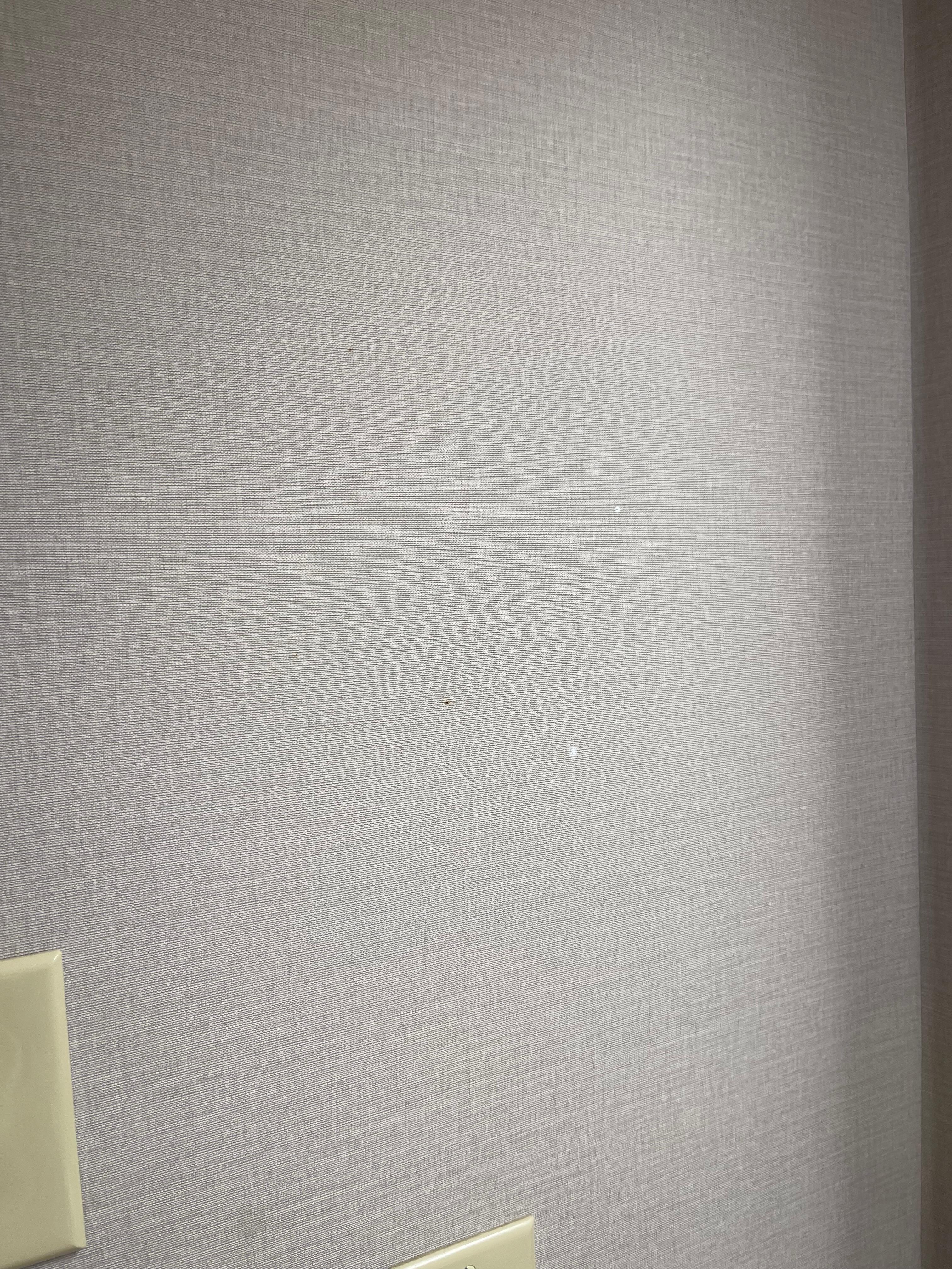 Cracks in wall 