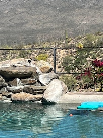 A little hard to see, but a roadrunner stopped for a drink on top of the fountain. Lots of birds stopped by. It was fun to watch!