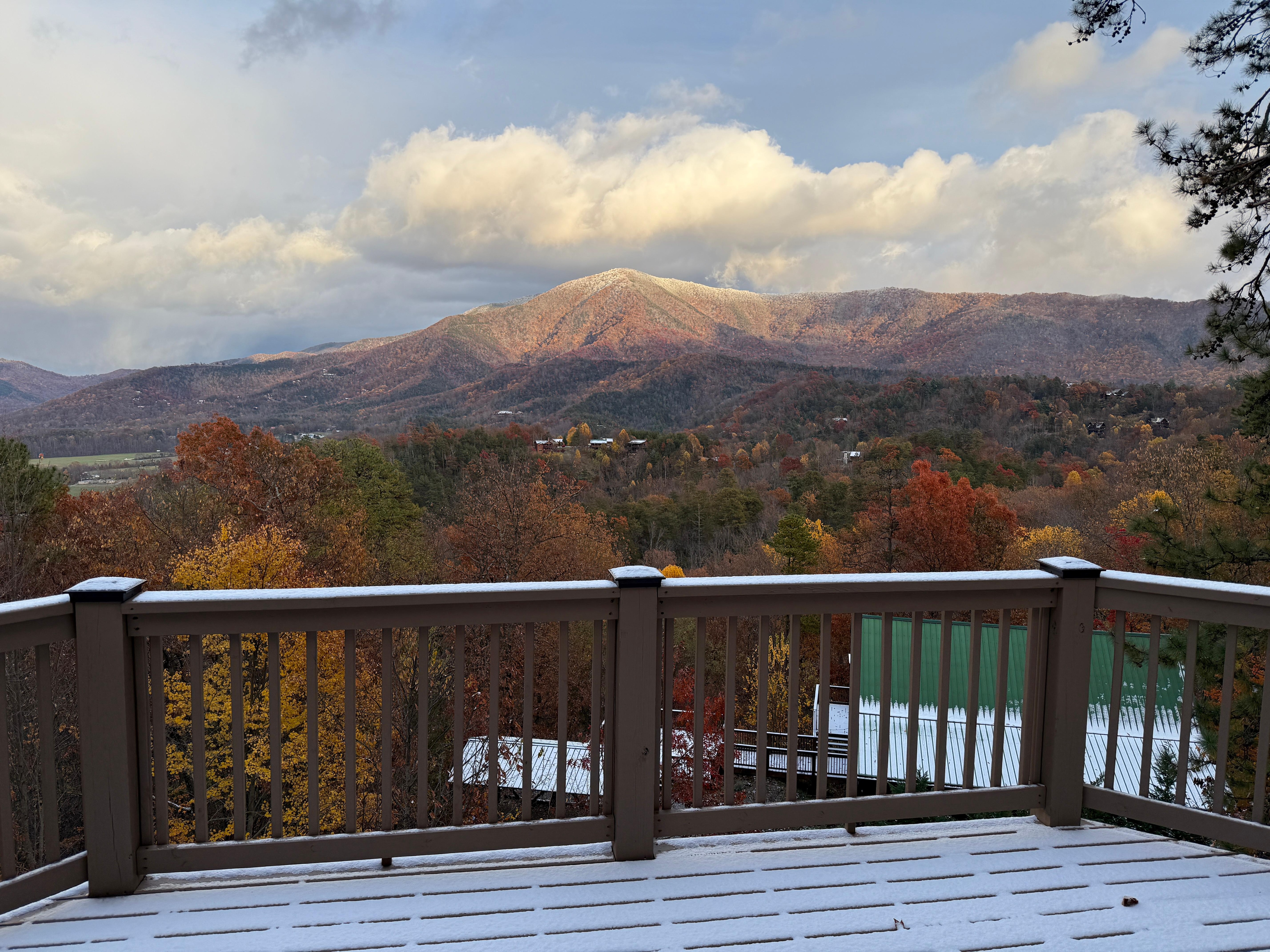 Looking out the back porch.❤️