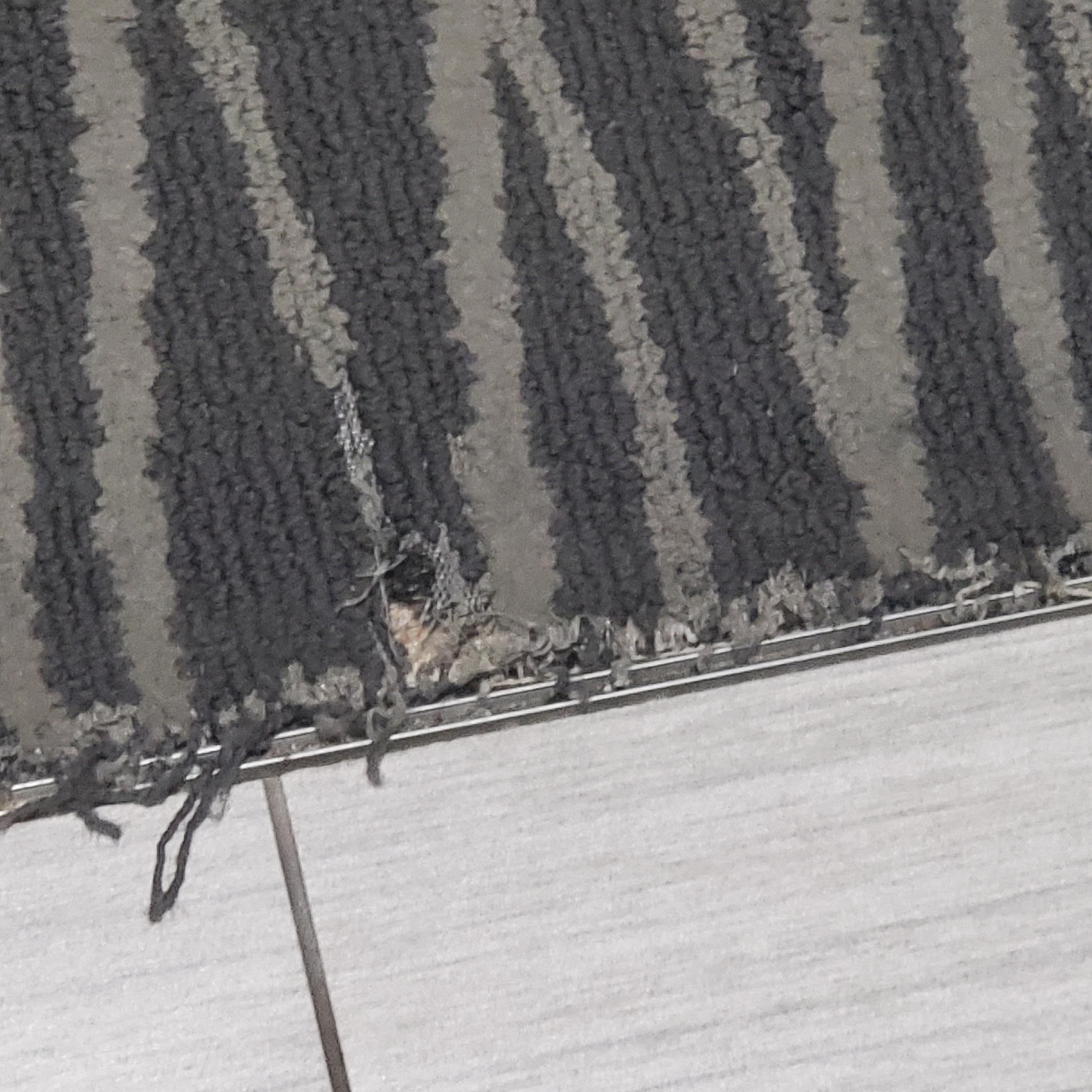 Carpet coming apart allowing tacks to poke your feet.