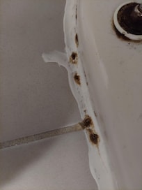 Possible mold around toilet