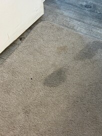 Dirty rug
