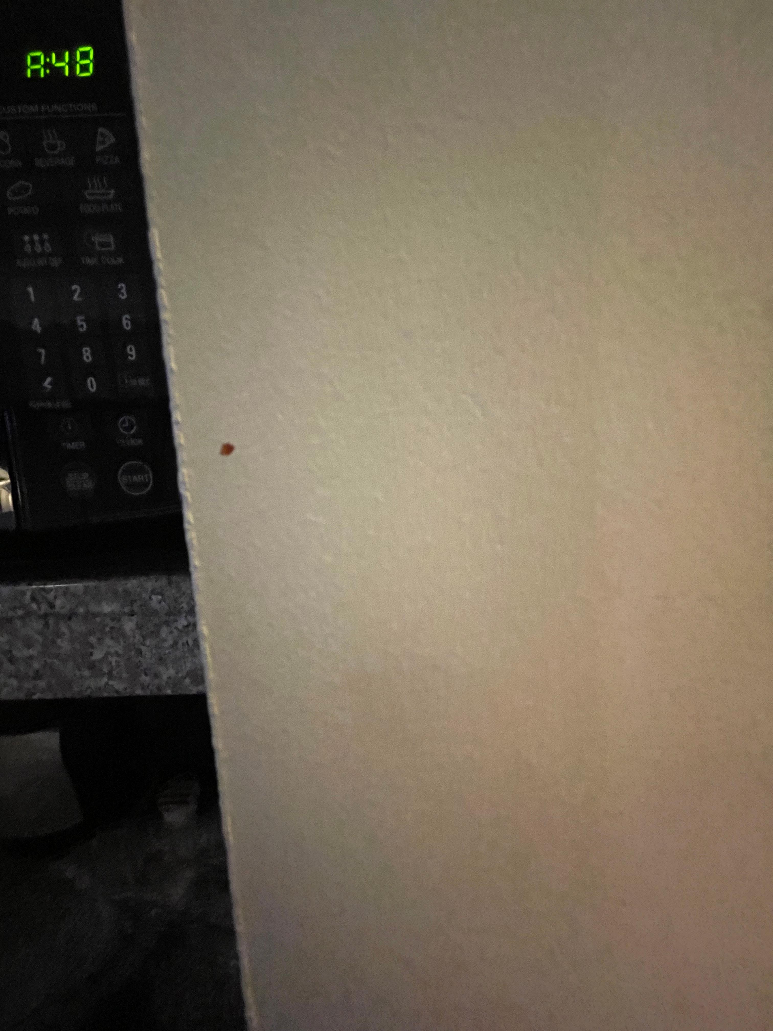 Red maybe blood!? droplets next to sink/microwave 