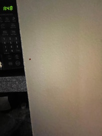 Red maybe blood!? droplets next to sink/microwave