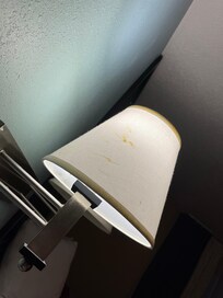 Filthy lampshade