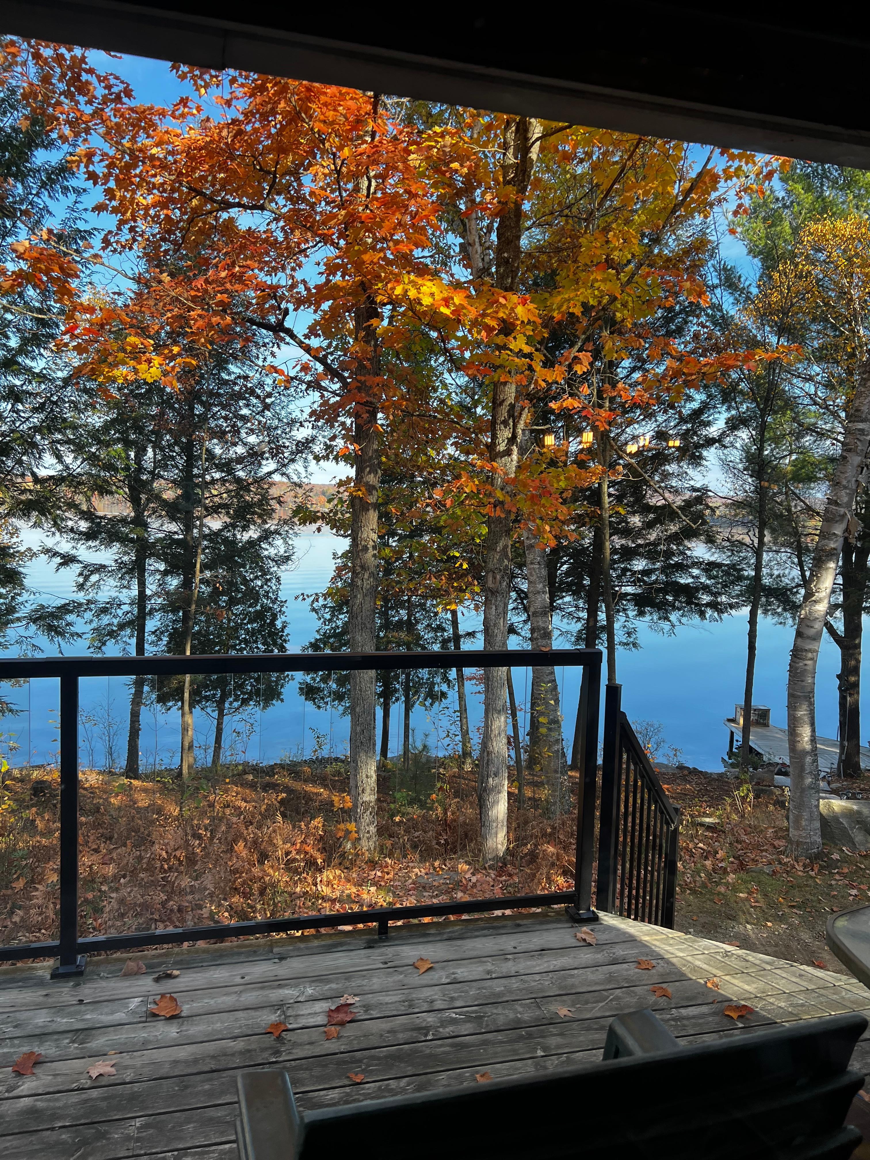 View of the lake from the cottage 