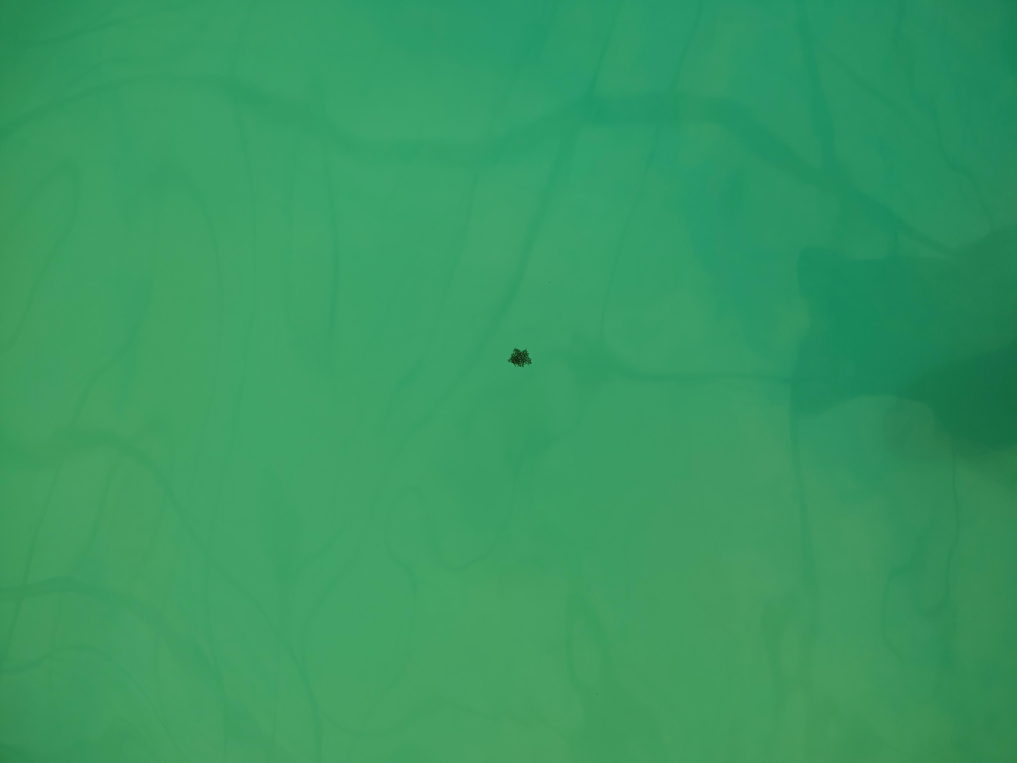 Floating mold