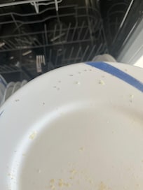 Unwanted dishwasher friends