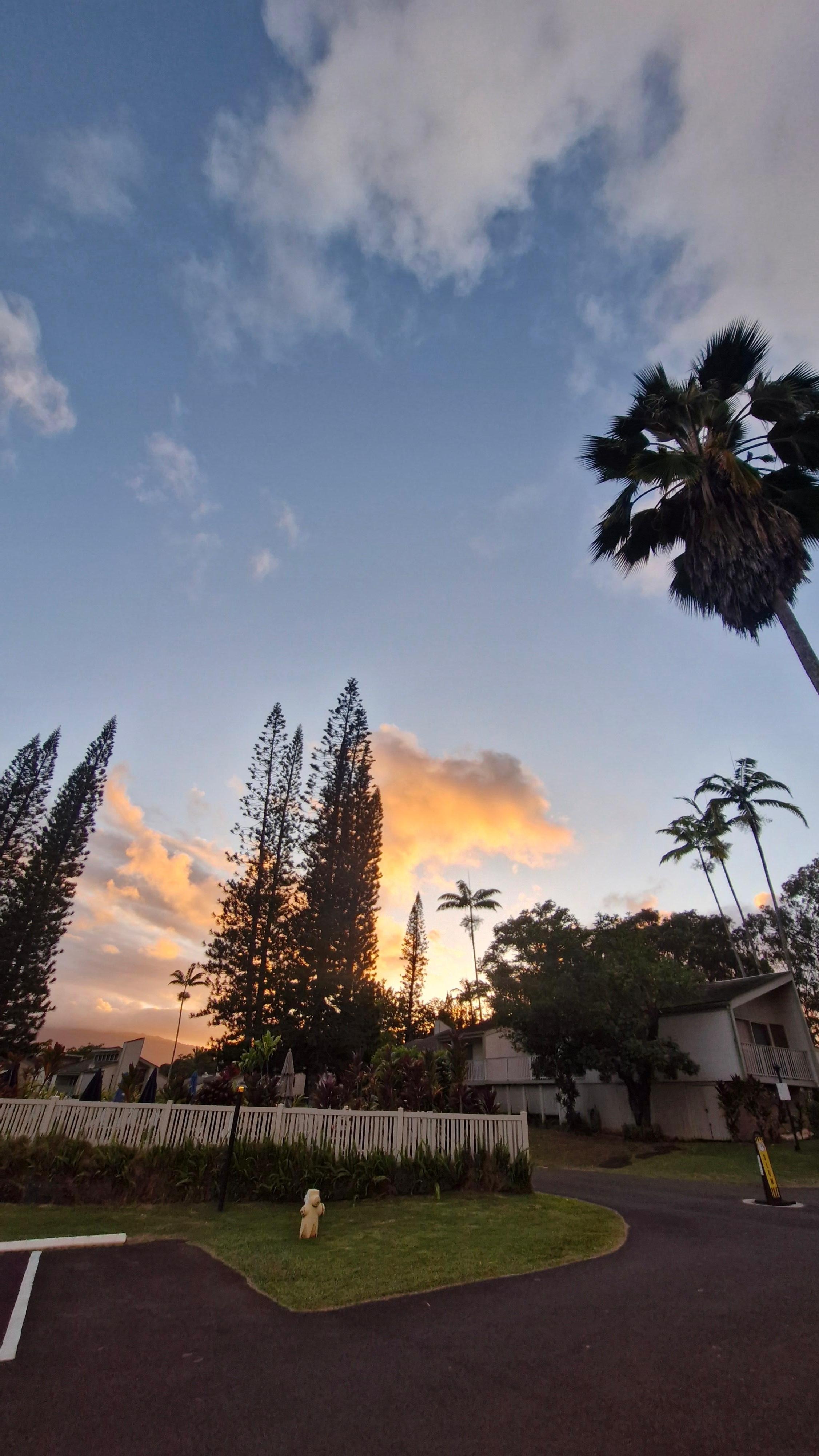 Sunsets are stunning