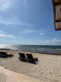 beach with brown water from sargassum