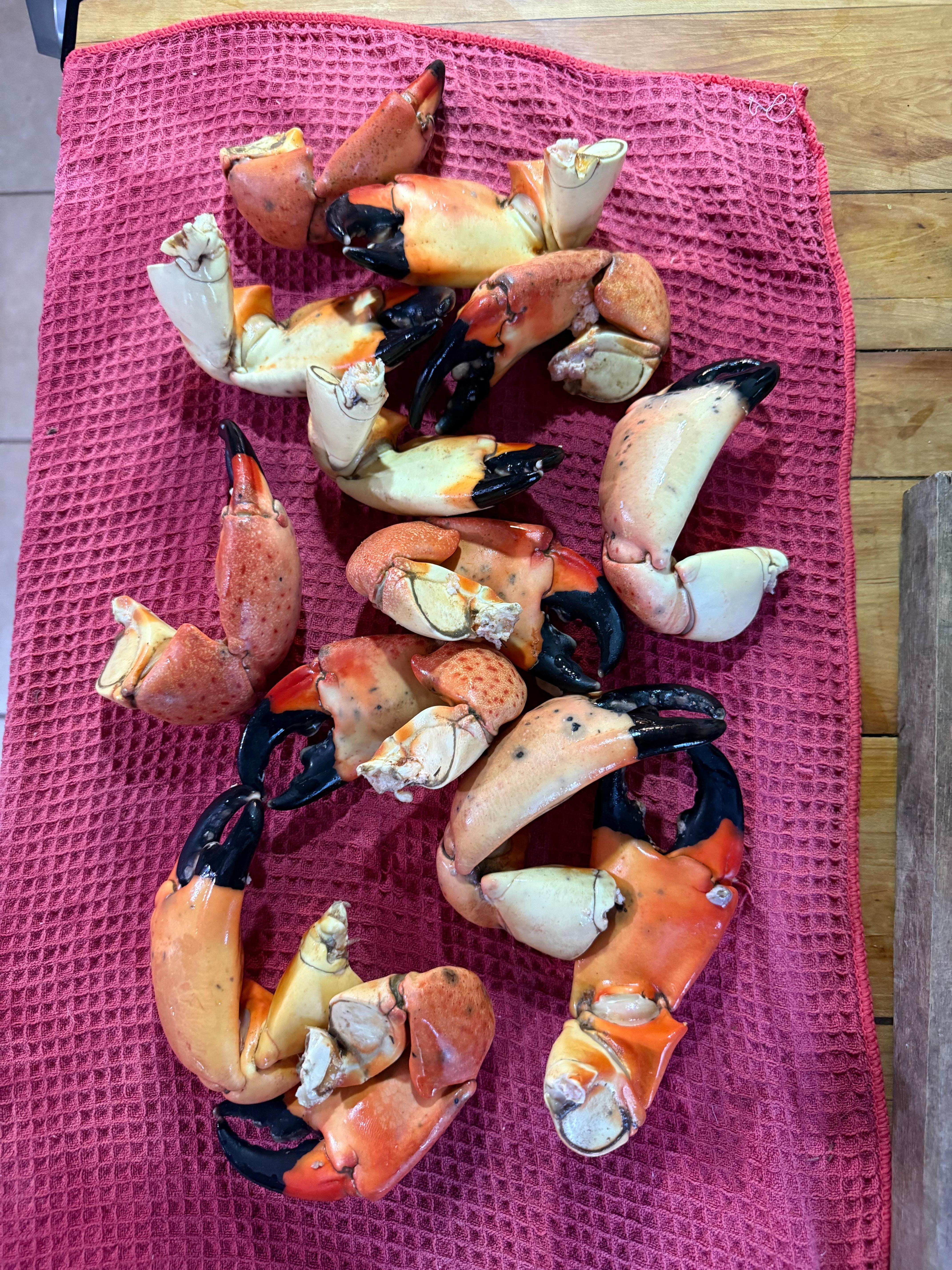 Stone Crab claws from the fish market up the street!