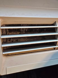 There's like peppercorn in there? Or its rat poo.