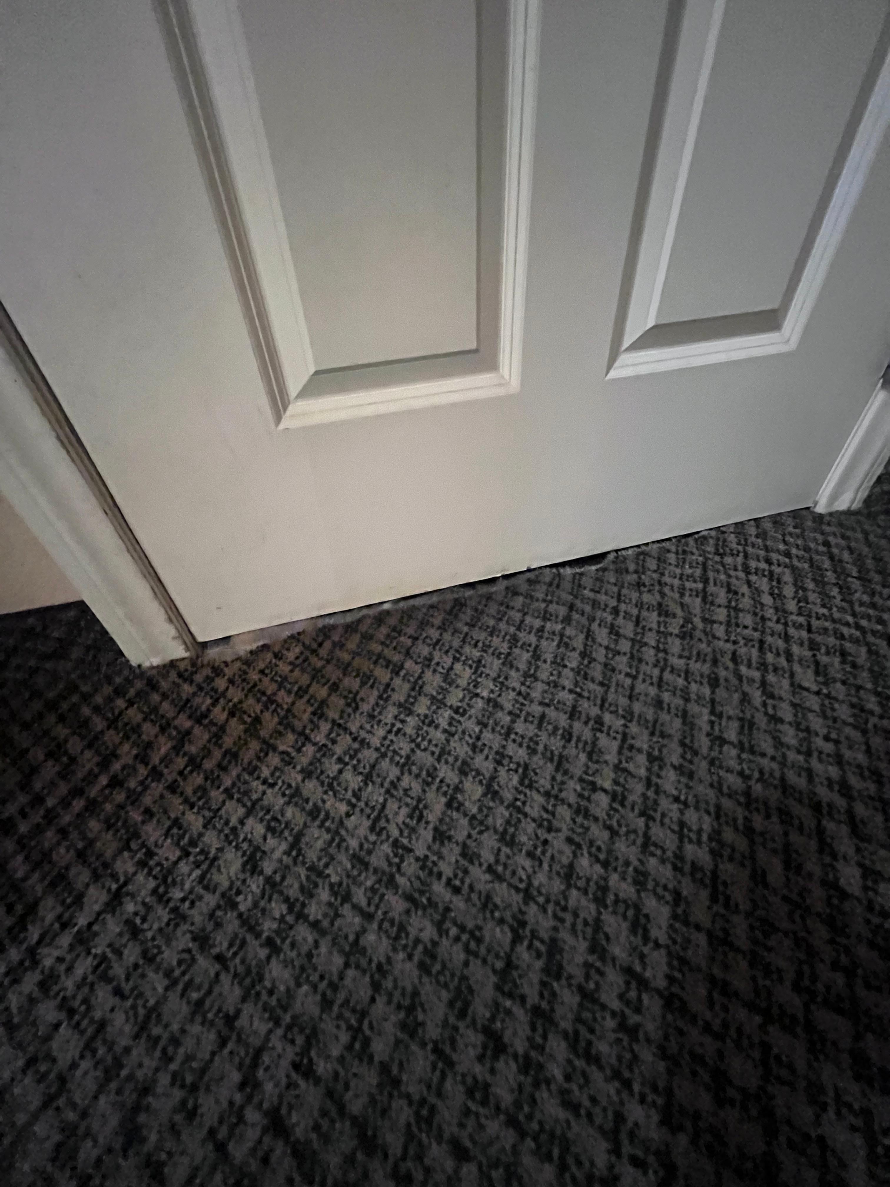The main door to our room . The rug was pulling away from transition strip  and was wet everywhere .