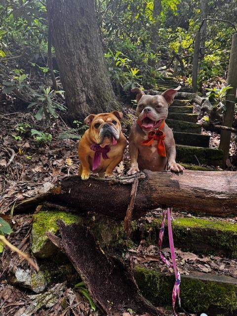 Great trails around the property