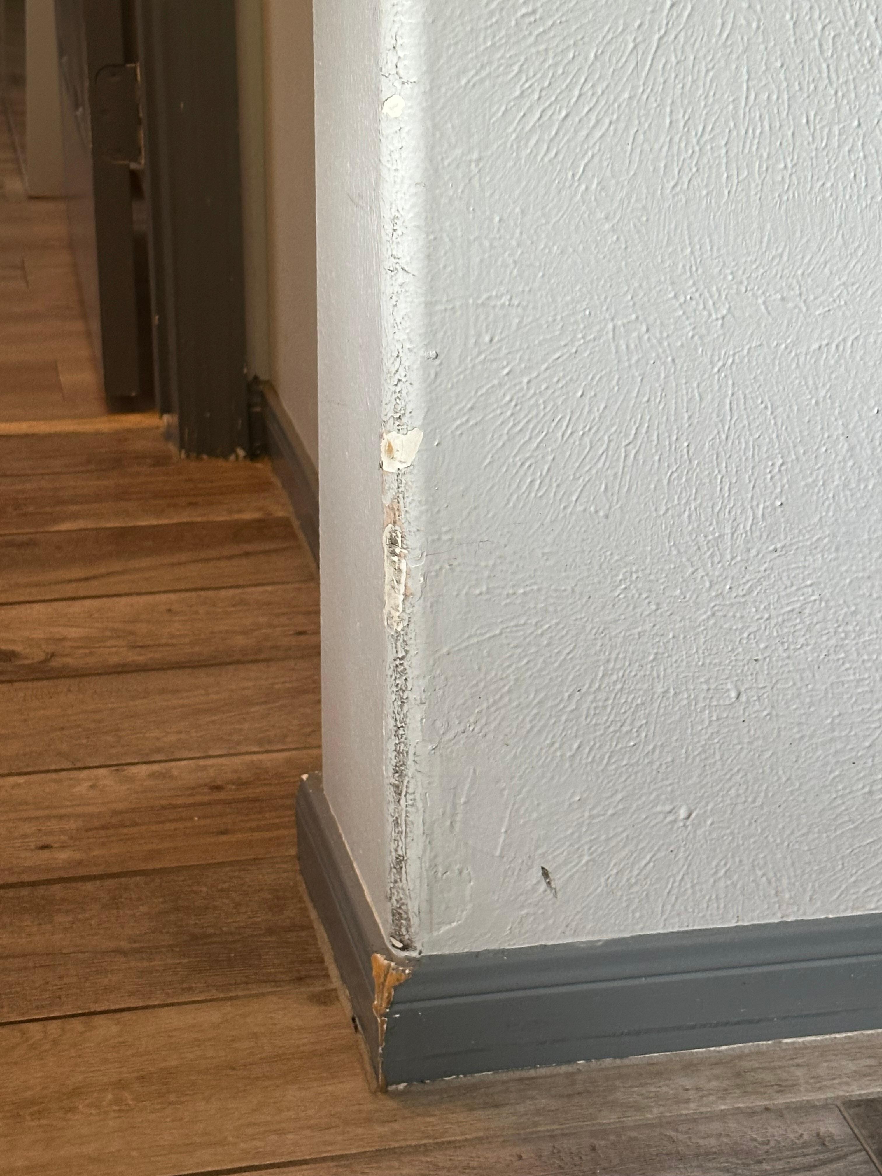 All the walls look like this 