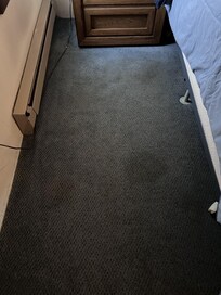 CARPETS ARE GROSS